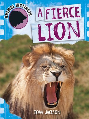 cover image of A Fierce Lion